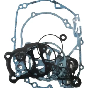 EMPAQUE DE MOTOR (NOBORU) CT100
