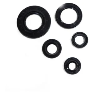 KIT DE SELLOS YBR125