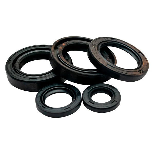 KIT DE SELLOS CT100, BOXER100