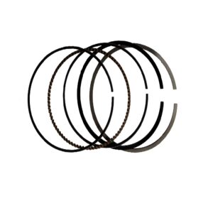 anillos DISCOVER125 (2006-2011