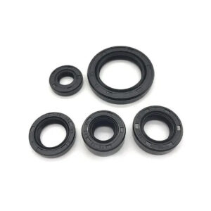 Kit de sellos de motor GN 125